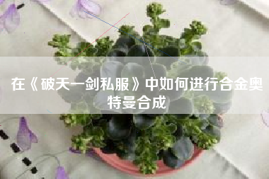 在《破天一剑私服》中如何进行合金奥特曼合成