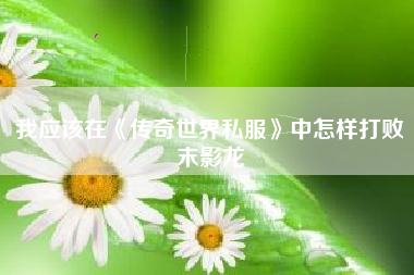 我应该在《传奇世界私服》中怎样打败末影龙