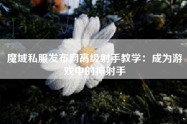 魔域私服发布网高级射手教学：成为游戏中的神射手