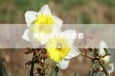 甜蜜游戏哪个好看