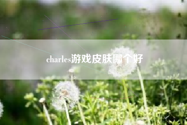 charles游戏皮肤哪个好