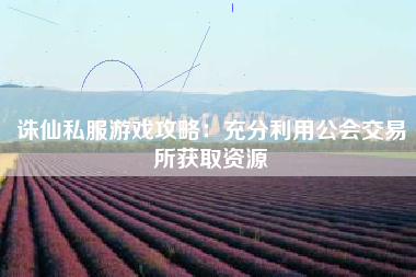 诛仙私服游戏攻略：充分利用公会交易所获取资源