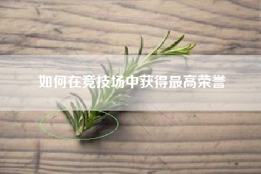 如何在竞技场中获得最高荣誉