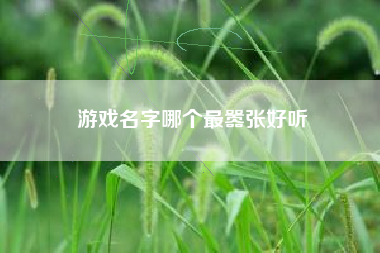 游戏名字哪个最嚣张好听