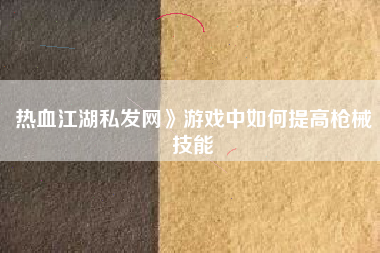 热血江湖私发网》游戏中如何提高枪械技能