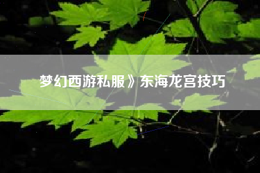 梦幻西游私服》东海龙宫技巧