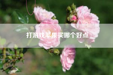 打游戏苹果买哪个好点