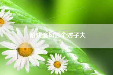 游戏追风哪个对子大