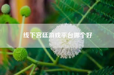 线下宫廷游戏平台哪个好