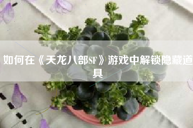 如何在《天龙八部SF》游戏中解锁隐藏道具