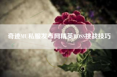 奇迹MU私服发布网精英BOSS挑战技巧