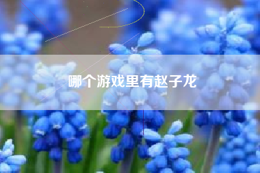 哪个游戏里有赵子龙