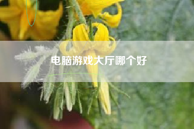 电脑游戏大厅哪个好