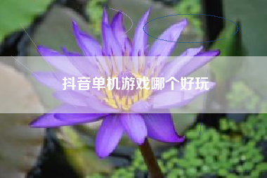 抖音单机游戏哪个好玩