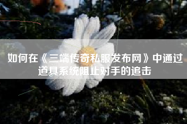 如何在《三端传奇私服发布网》中通过道具系统阻止对手的追击