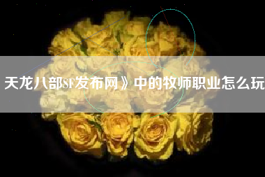 天龙八部SF发布网》中的牧师职业怎么玩