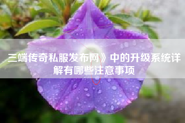 三端传奇私服发布网》中的升级系统详解有哪些注意事项