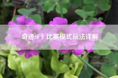 奇迹SF》比赛模式玩法详解