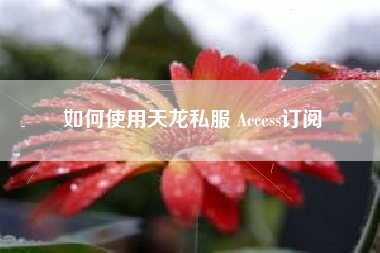 如何使用天龙私服 Access订阅