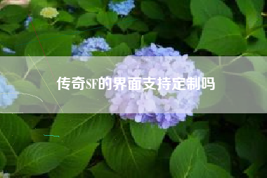 传奇SF的界面支持定制吗