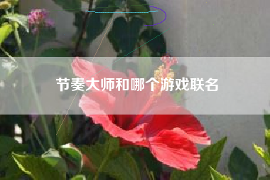 节奏大师和哪个游戏联名