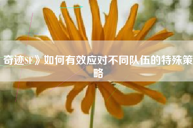 奇迹SF》如何有效应对不同队伍的特殊策略