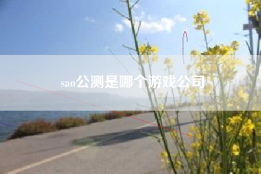 sao公测是哪个游戏公司