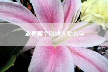 鸢是哪个游戏人物名字