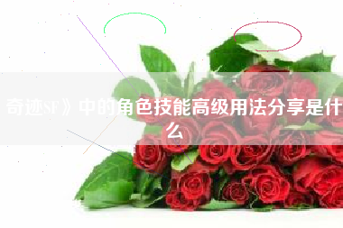 奇迹SF》中的角色技能高级用法分享是什么