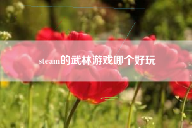 steam的武林游戏哪个好玩