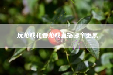 玩游戏和看游戏直播哪个更累