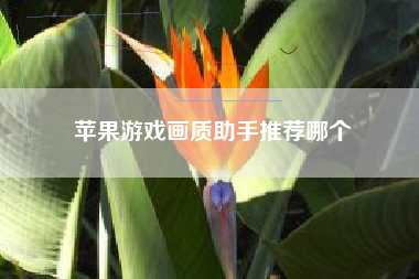 苹果游戏画质助手推荐哪个