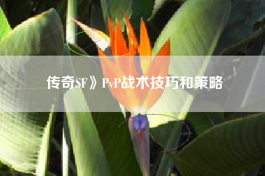 传奇SF》PvP战术技巧和策略