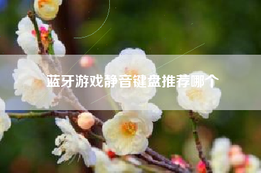 蓝牙游戏静音键盘推荐哪个