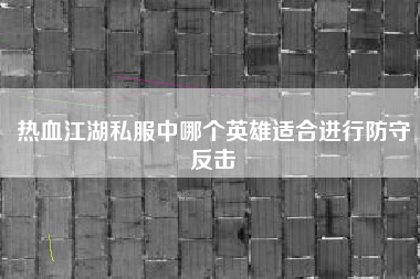 热血江湖私服中哪个英雄适合进行防守反击