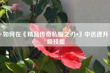 如何在《精品传奇私服之刃9》中迅速升级技能