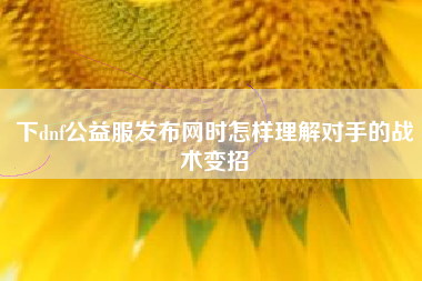 下dnf公益服发布网时怎样理解对手的战术变招