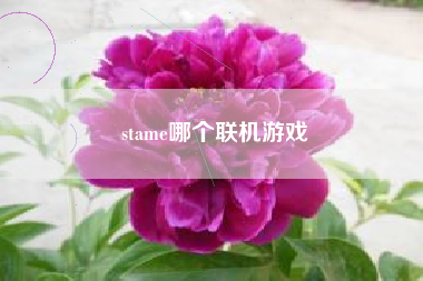 stame哪个联机游戏