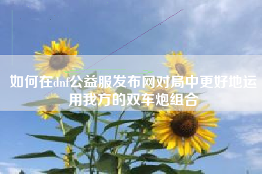 如何在dnf公益服发布网对局中更好地运用我方的双车炮组合