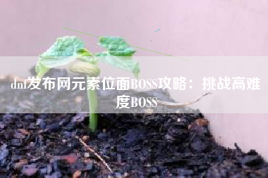 dnf发布网元素位面BOSS攻略：挑战高难度BOSS