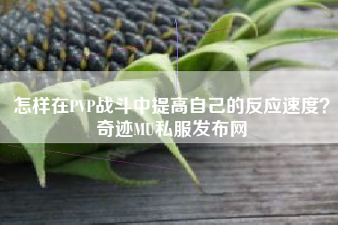 怎样在PVP战斗中提高自己的反应速度？奇迹MU私服发布网