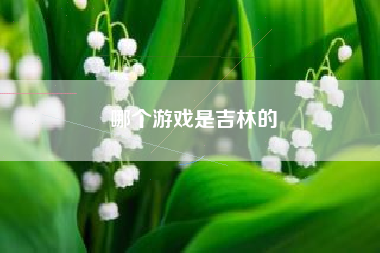 哪个游戏是吉林的