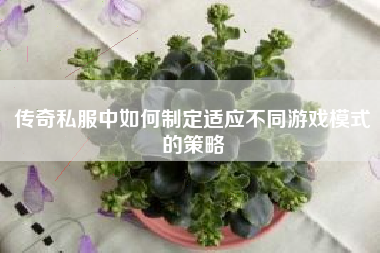 传奇私服中如何制定适应不同游戏模式的策略