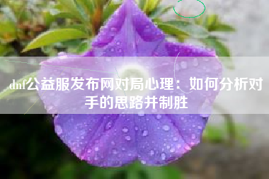 dnf公益服发布网对局心理：如何分析对手的思路并制胜