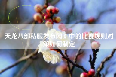 天龙八部私服发布网》中的比赛规则对策如何制定