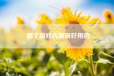 哪个游戏内测最好用的