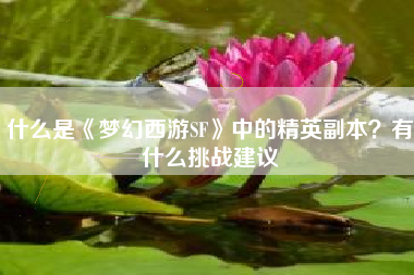 什么是《梦幻西游SF》中的精英副本？有什么挑战建议