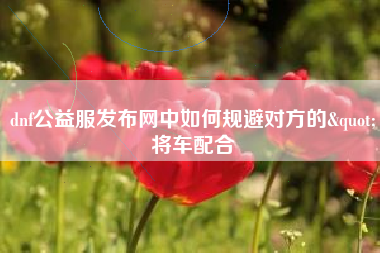 dnf公益服发布网中如何规避对方的"将车配合