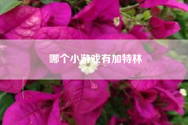 哪个小游戏有加特林