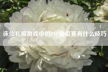 诛仙私服游戏中的PVP排位赛有什么技巧